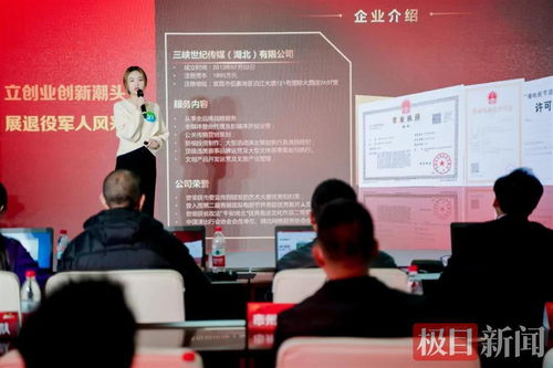 宜昌軍創(chuàng)企業(yè)閃耀“軍創(chuàng)杯”，躋身全省三強并賦能文化藝術交流